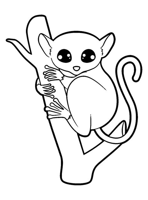 Tarsier - Lol Coloring Pages Tarsier Drawing, Print Coloring Pages, Lol Coloring Pages, Lol Coloring, Outline Drawings, Coloring Pages To Print, Cartoon Animals, Easy Drawings, Coloring Pages