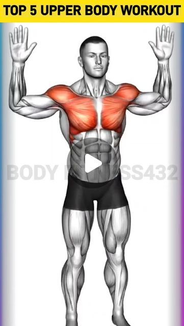 Upper Body Workout At Home, Full Upper Body Workout, Standing Workout, Body Workout At Home, Viral Shorts, Chest Workouts, Chest Workout, Body Fitness, Shoulder Workout