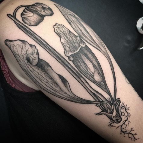 Cindy Vega Pitcher Plant Tattoo, Plant Tattoos, Plant Tattoo, Pitcher Plant, Tattoo Artists, Piercings, Instagram Post, Tattoos, Instagram Posts