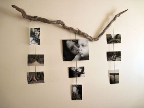 . Branch Ideas, Ideas With Wood, Freedom Wall, Diy Luminaire, Photo Hanging, Branch Art, Hanging Ideas, Picture Hanger, Wood Branch