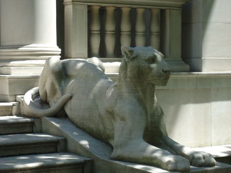 https://flic.kr/p/dg7vPq | Lioness Statue | Unlike the lions which flank the entrance to so many other major institutions, e.g. the NY Public Library, here we have lionesses.  Shame this entrance isn't used anymore, though. It's so grand...                                 See where this picture was taken. [?] Lioness Statue, Lioness Sculpture, Ny Public Library, Jellicle Cats, Sculpture Marble, Female Lion, Lion Statue, Cement Design, Stone Lion