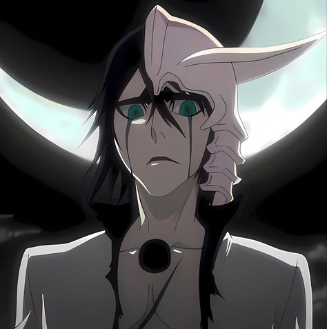 Ulquiorra Cifer Icon, Ulquiorra Schiffer, Web Design Icon, Hellsing Ultimate Anime, Bleach Pictures, Bleach Funny, Ulquiorra Cifer, Byakuya Kuchiki, Afro Samurai