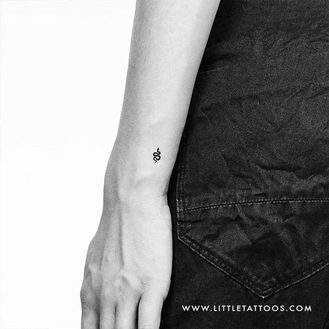 Snake Fine Line Tattoo, Snake Tattoo Placement, Tiny Snake Tattoo, Tiny Snake, Arrow Tattoos For Women, Small Snake Tattoo, Balance Tattoo, Tattoos Animals, Snake Tattoos