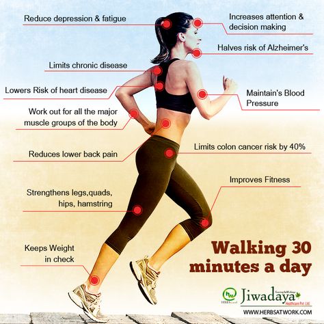 The Incredible Results You Get From Walking 30 Minutes A Day. Walking 30 Minutes A Day Results, Walking 30 Minutes A Day, Workouts Plans, Burn Fat Quick, Walking Plan, Major Muscles, Healthy Routine, Workout Plans, Healthy Lifestyle Tips