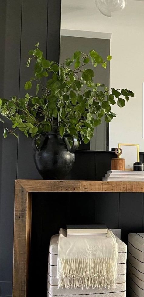 Green Vertical Shiplap, Black Vertical Shiplap, Vertical Shiplap, Basement Finish, Tricorn Black, House Staging, Ship Lap, Finishing Basement, Dark Color