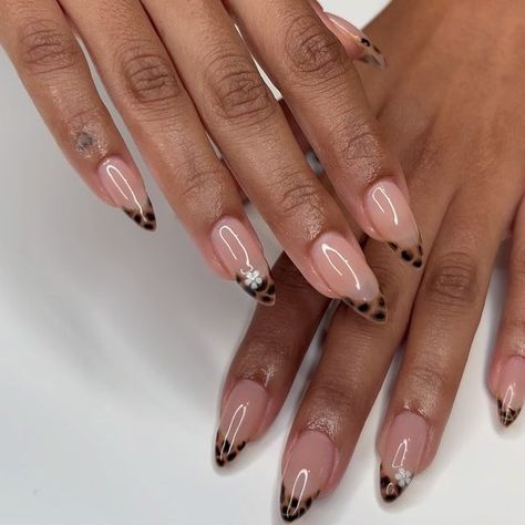 𝑮𝒆𝒍 𝑿 𝑵𝒂𝒊𝒍𝒔 ♡ on Instagram: "🍂🌸✨🐢🤎  #fallsummernails #tortoisenails #tortoise #gelx #alomondnails #mediumalomondnails #begginernailtech #nailtech #gelxtension #nailinspo #fallnails" Brown Nails Ideas Almond, Tortoise Nail Tips, French Tip Tortoise, Short Almond Nails Tortoise, Tortoise Tips Nails, Tortoise Tip Almond Nails, Brown Nails Ideas, Nails Ideas Almond, Tortoiseshell Nails