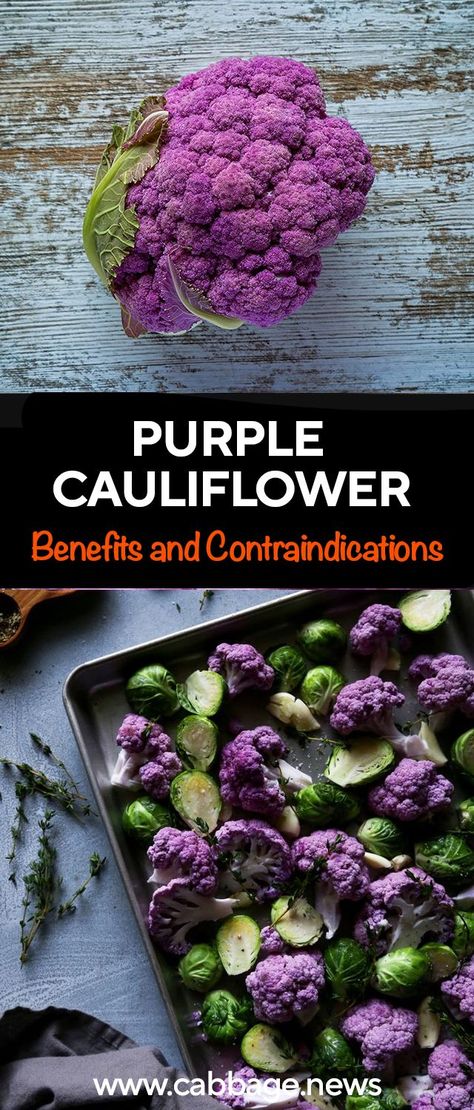 Purple cauliflower is very healthy and nutritious. It contains more vitamin C than citrus. Doctors recommend it for children and the elderly. Colored Cauliflower, Cauliflower Benefits, Purple Cauliflower, Nutritional Value, How To Cook, Brussel Sprout, Vitamin C, Kitchens, Vitamins