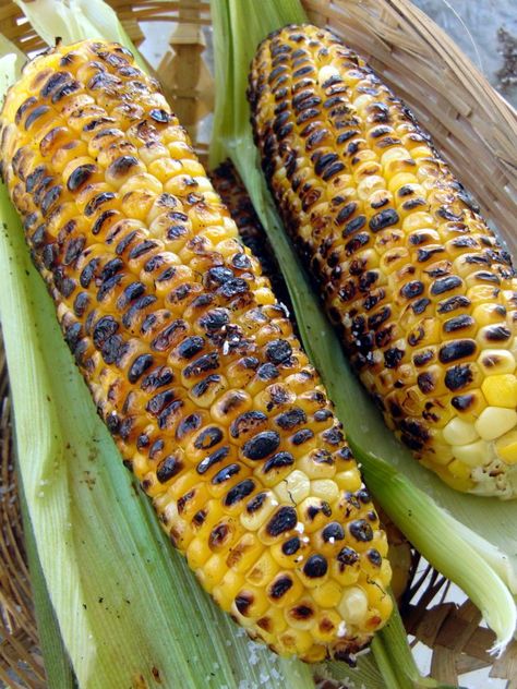 Chibage chakagochwa(grilled corn on the cob) http://www.princesstafadzwa.com/chibage-chakagochwagrilled-corn-cob/ Zimbabwe Food, Vegetarian Italian Recipes, Grilled Corn On The Cob, Live Chicken, Corn Maize, Fallout Rpg, Boiled Corn, Mama Africa, Africa Food