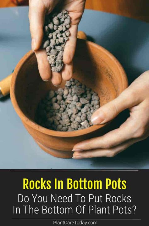 Placing rocks at the bottom of plant containers is often done for drainage in gardening. But is it necessary to put rocks at the bottom of pots? Rocks In Plant Pots, Diy Pebble Tray For Plants, Drainage For Potted Plants, Rock Plants, Plant Containers, Bucket Gardening, Houseplant Care, Planting Pots, Planting Pot