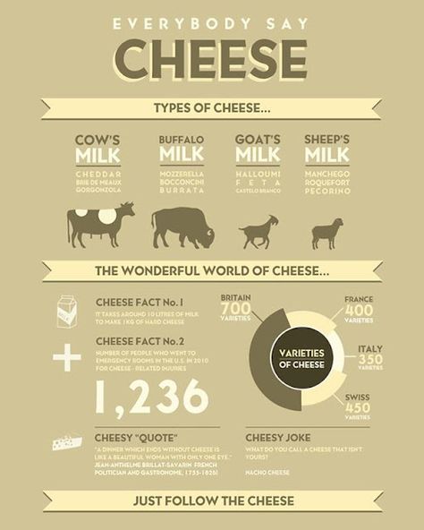 LITTLE GREEN CHEESE: CHEESE FACTS Cheese Jokes, Cheese Quotes, Cheesy Jokes, Food Infographic, Agriculture Education, Types Of Cheese, Say Cheese, Wine Cheese, Cheese Lover