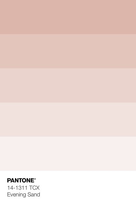 Light Blush Color Palette, Pastel Pink Palette Color, Pink Beige Colour Palette, Pink White Cream Color Palette, Ballet Pink Color Palette, Muted Blush Color Palette, Neutral Pink Palette, Soft Pink Colour Palette, Pastel Peach Color Palette