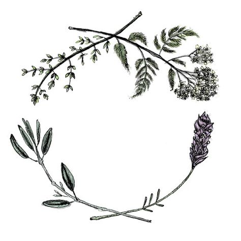 sarahmould: Yarrow, sage, lavender, thyme healing wreathBuy... Herb Tattoo, Herb Wreath, 4 Tattoo, Botanical Tattoo, Blog Art, Bee Tattoo, 문신 디자인, Healing Herbs, Skin Art