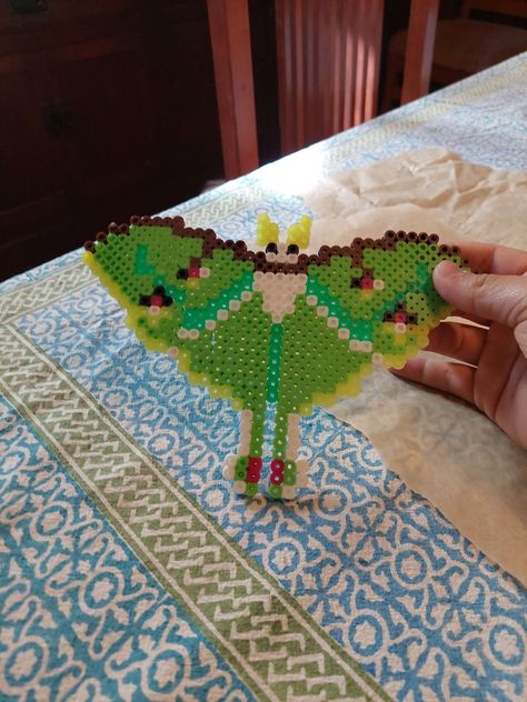 Luna Moth Perler Beads, Moth Perler Bead Patterns, Perler Bead Moth, Electric Forest Perler, Moth Perler Beads, Luna Moth Art, Beads Inspiration, Pearl Beads Pattern, Beads Art