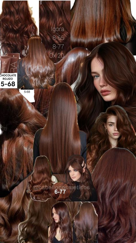 Chocolate Auburn Hair, Igora Hair Color, Cinnamon Brown Hair, Dark Ginger Hair, Crazy Curly Hair, Brown Auburn Hair, Copper Brown Hair Color, Cinnamon Hair Colors, Copper Brown Hair