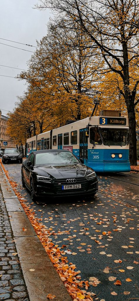 Automen leaves falling aesthetic of vintage streets University Of Gothenburg, Gothenburg Aesthetic, Fit Moodboard, Gothenburg University, Denmark Aesthetic, Leaves Falling, Gothenburg Sweden, Uni Life, Gothenburg