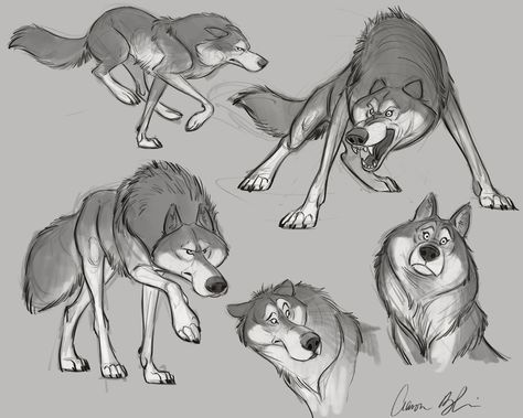 Wolf Designs - Peter & The Wolf, Aaron Blaise on ArtStation at… Art Black Love, Aaron Blaise, Anna Cattish, Dog Drawings, Character Design Tutorial, Wolf Character, Character Design Cartoon, Wolf Illustration, Cartoon Drawing Tutorial