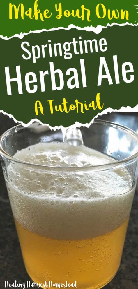 Ale Recipe, Healthy Probiotics, Probiotic Drinks, Homemade Beer, Fermentation Recipes, Fermented Drink, Home Brew, Peach Recipe, Beer Recipes