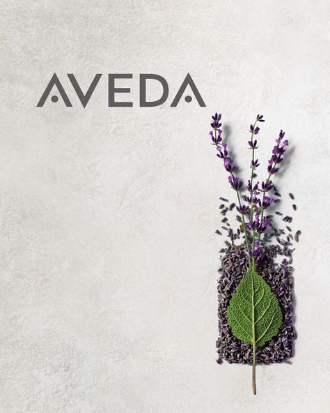 Home Hair Coloring, Aveda Products, Free Baby Samples, Aveda Hair, Aveda Salon, Aveda Color, Free Samples By Mail, Home Hair, Real Estates Design