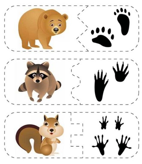 Animal Footprints, Animal Printables, Animal Tracks, Animal Crafts For Kids, Animal Activities, Fair Play, Forest School, Winter Animals, Camping Theme