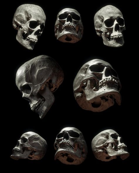 Skull Photo, Skull Anatomy, Skull Reference, Skeleton Anatomy, Skull Model, Skull Sketch, Skulls Drawing, Human Anatomy Art, 카드 디자인