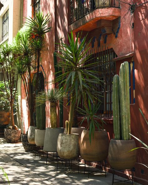 Beautiful streets of Mexico City #ciudaddemexico #travelphotography #mexicophotography #seemexico Mexico City Streets, Mexico City Houses, Mexico City Home, Mexico Aesthetic Vintage, Old Mexico Aesthetic, Mexico Streets, Mexico City Architecture, Mexico City Aesthetic, Mexican Magic