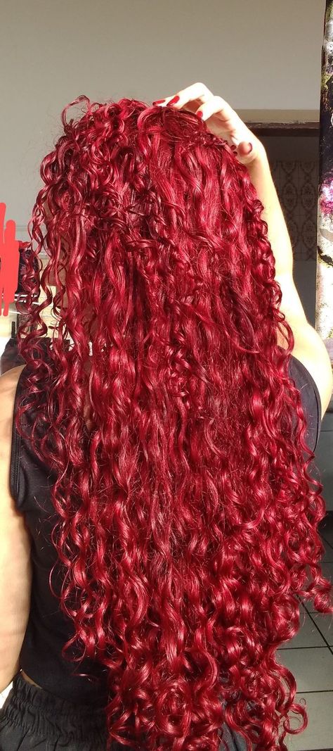 Bright Red Hair Curly, Bright Red Curly Hair, Cherry Red Curly Hair, Long Red Curly Hair, Red Hair Tips, Blood Red Hair, Vibrant Red Hair, Crimson Hair, Cherry Red Hair