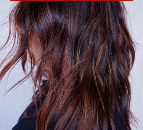 Dark Chocolate Copper Hair, Copper Dark Brown Hair, Copper Mahogany Hair, Mahogany Hair Color, Mahogany Highlights, Blonde To Brown, Light Brown Hair Dye, Black And Green Hair, Pink Hair Streaks