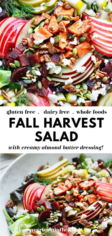 This delicious, healthy, simple, and easy Fall Harvest Salad is the best salad to enjoy in the autumn season. It's great for gatherings like Thanksgiving or enjoying any day of the week. It's gluten free, dairy free, and made with whole foods and a creamy almond butter apple dijon dressing! Dairy Free Thanksgiving Recipes, Harvest Salad Recipes, Dairy Free Thanksgiving, Fall Harvest Salad, Dairy Free Salads, Dairy Free Recipes Easy, The Best Salad, Autumn Salad Recipes, Dijon Dressing