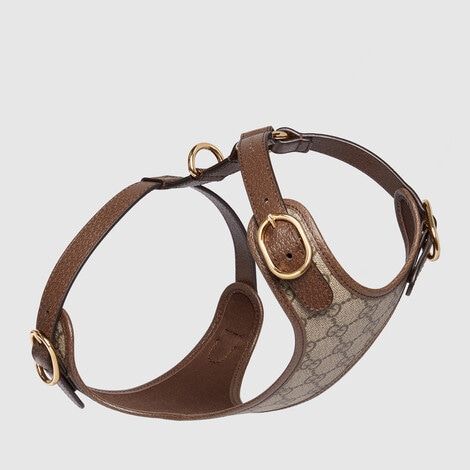 Shop the Large/extra-large pet collar in brown at GUCCI.COM. Enjoy Free Shipping and Complimentary Gift Wrapping. Gucci Pet, Designer Dog Harness, Leather Dog Harness, Spoiled Dogs, Dog Harnesses, Puppy Supplies, Luxury Pet, Pet Harness, Pet Stuff