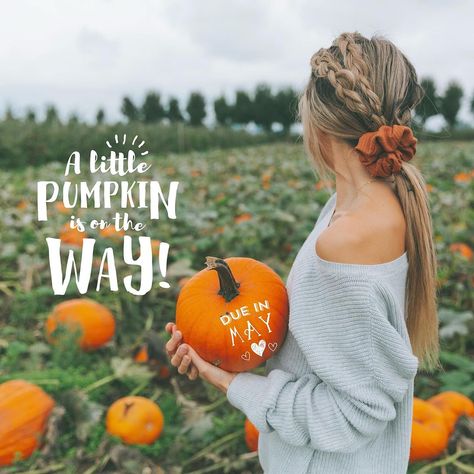 Who has a little pumpkin on the way? This is such a sweet idea 🥰

🎃🧡Find these in the app today & create yours

Link to try Baby Pics App for FREE in our bio 👉 @babypicsapp #BabyPicsApp #pregnancyannouncement #dueinmay #halloween Little Pumpkin On The Way, Pumpkin On The Way, Announcement Ideas, Baby Pics, Pregnancy Announcement, Baby Pictures, Create Yourself, The Way, For Free