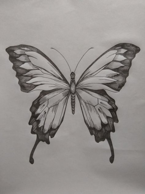 Butterfly Sketch Ideas, Buterfluffy Drawings, Aesthetic Butterfly Sketch, Butterfly Sketch Pencil, Butterfly Drawing Sketches, Butterfly Drawing Pencil, Drawing Ideas Butterfly, Butterfly Pencil Drawing, Drawing Of Butterfly