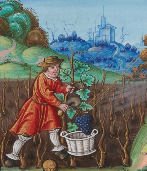 Medieval Vineyard, Alberto Sangorski, Ancient Wine, Vineyard Art, Lord Tennyson, Medieval Market, Medieval Furniture, Medieval Paintings, Book Of Hours