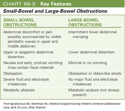 small bowel and large bowel obstruction Gastrointestinal Nursing, Nursing Apps, Large Bowel, Nursing Fun, Med Surg Nursing, Surgical Nursing, Fundamentals Of Nursing, Nursing School Studying, Java Programming