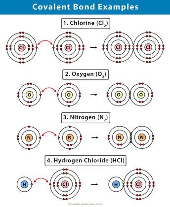 Covalent Bond: Definition, Types, and Examples Metallic Bond, Ionic And Covalent Bonds, Covalent Bonds, Chemical Bonds, Chemistry Design, School Science Experiments, Biochemistry Notes, Chemical Bonding, General Chemistry