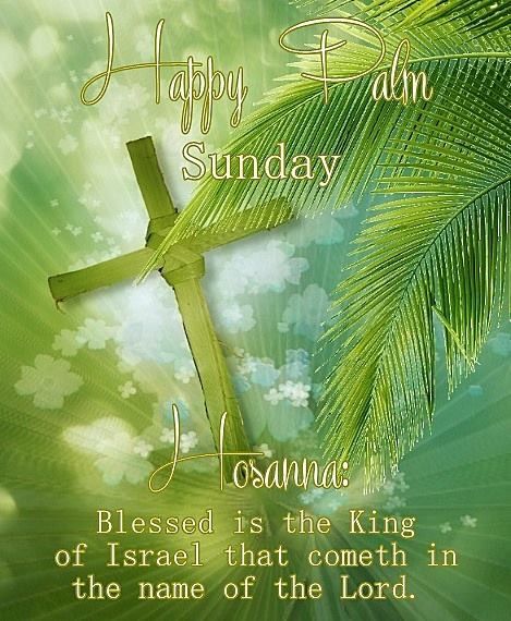 Holy Week Images, Palm Sunday Quotes, Advent Images, Passion Week, Happy Palm Sunday, Tuesday Blessings, Easter Resurrection, Sunday Greetings, Months And Seasons