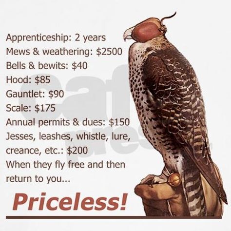 Falconry Equipment, Falcon Hawk, Turkey Calling, Sport Of Kings, Red Tailed Hawk, It Shirt, 3 Am, Birds Of Prey, New Hobbies