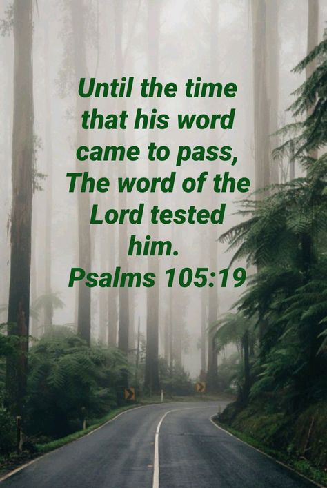 Psalm 105:19 Psalm 105, Bible Quotes Wallpaper, Seasons Of Life, Scripture Quotes, Holy Bible, Names Of Jesus, Wallpaper Quotes, Bible Quotes, Bible Verse