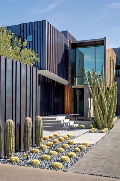 Mid Modern House, Desert Landscape Design, Desert Backyard, Modern Desert, Phoenix Homes, Landscape Designer, Desert Landscape, Cactus Garden, Front Yard Landscaping Design