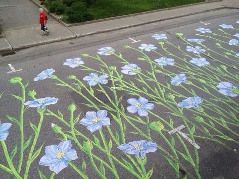 Urban flowers colorful flowers art chalk street drawing sidewalk cement Fun Chalk Art, Chalk Design, Urbane Kunst, Sidewalk Chalk Art, Sidewalk Art, Art Tumblr, Chalk Drawings, Of Montreal, Sidewalk Chalk