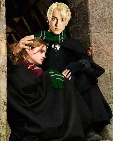 Surjatapa Draco And Hermione Fanfiction, Tom Y, Ron Weasley Hermione Granger, Draco Malfoy Fanart, Harry Potter Painting, Dramione Fan Art, Draco Malfoy Aesthetic, Harry Potter Feels, Buku Harry Potter