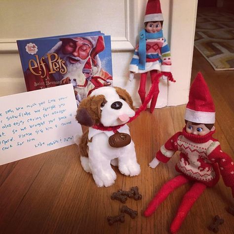 Elfontheshelf_James&Meebles on Instagram: “Circa 2016. The elves brought jack a new pet from the North Pole to care for. They are taking him out for a walk and feeding him some dog…” Elf On A Shelf Dog Ideas, Elf On Shelf With Pet Ideas, Elf On The Shelf With Pets, Elf On Shelf Pet Arrival, Elf Pets Arrival, Elf With Elf Pet Ideas, How To Introduce Elf On The Shelf Pet, Elf Pets, Hiding Spots