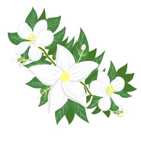 Sampaguita Drawing, Sampaguita Flower, Philippine Sun, Drawing Ideas Inspiration, Grad Cap Designs, Facebook Cover Design, Book And Magazine Design, Header Design, Inspiration For Art