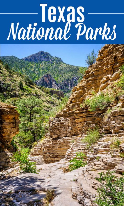 Big Bend National Park Hiking, Texas State Parks, Guadalupe Mountains National Park, Best National Parks, Guadalupe Mountains, Map Printable, Vacation Activities, National Parks Map, National Park Vacation