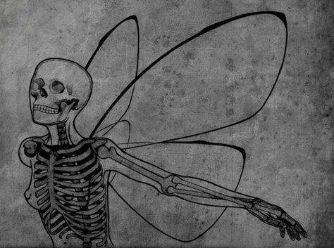 Fairy Skeleton, Bones