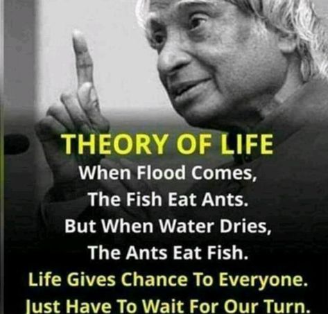 When flood comes, The Fish Eat Ants. But when water Dries, The Ants Eat fish. Lives Gives Chance To Everyone Just Have To Wait For Our Turn. Invest in binary option and pay your debts. Theory Of Life, The Words, Life Lessons, A Woman, Fish, Quotes