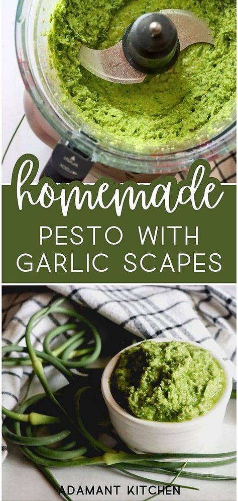 Homemade pesto with garlic scapes showcased in spring seasonal recipes is perfect for those who love crafting their condiments. This homemade pesto is a brilliant addition to your culinary repertoire, bringing freshness and flavor to any meal. Find more summer seasonal recipes, whole food recipes, and preserving garlic scapes at adamantkitchen.com Garlic Scapes And Basil Pesto, Garlic Scapes Recipes, Scape Pesto Recipe, Preserving Garlic, Scape Pesto, Garlic Scape Pesto, Homemade Pesto Recipe, Garlic Scapes, Foraged Food