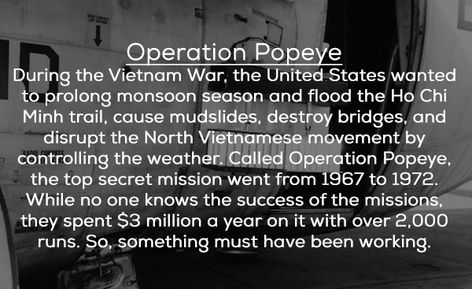 25 Scary Government Secrets That Have Been Declassified - Creepy Gallery Ho Chi Minh Trail, Intresting Facts, Set You Free, The Secret, Government, United States