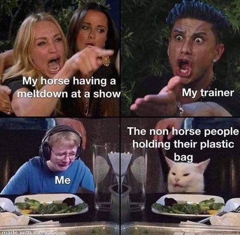 Look Familiar? www.justhorseriders.co.uk #equestrianlife #horsegirl #horsevideos #horseriding #horselife #horselover #equestrian Equestrian Funny, Equestrian Memes, Preppy Equestrian, Funny Horse Memes, Horse Meme, Horse Memes, Star Stable Horses, Horse Quotes Funny, Horse Jokes