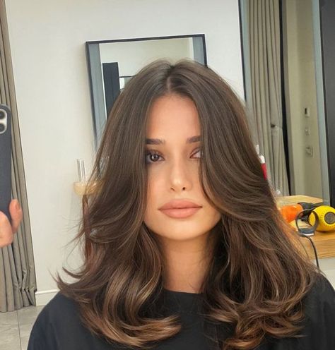 Bob Lung, Brown Hair Inspo, Layered Haircuts For Medium Hair, Hairstyles For Layered Hair, Haircuts For Medium Hair, Haircuts Straight Hair, Mid Length Hair, Medium Hair Cuts, Hair Inspo Color