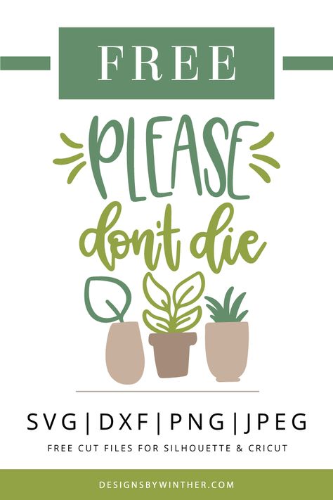 Succulent Stand, Svg Prints, Succulent Svg, Painted Planters, Free Silhouette Cut Files, Cricut Baby, Free Svgs, Summer Svg, Free Cut Files